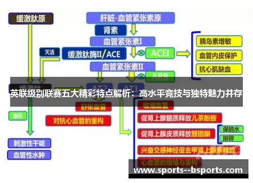 英联级别联赛五大精彩特点解析：高水平竞技与独特魅力并存