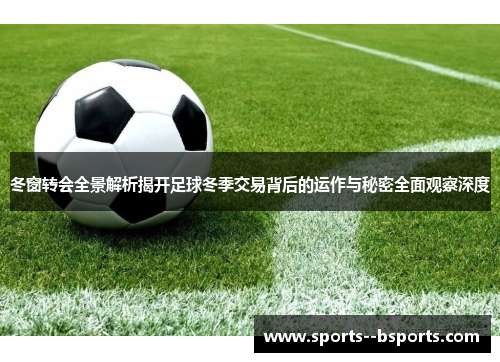 冬窗转会全景解析揭开足球冬季交易背后的运作与秘密全面观察深度 冬窗转会全景解析揭开足球冬季交易背后的运作与秘密全面观察深度